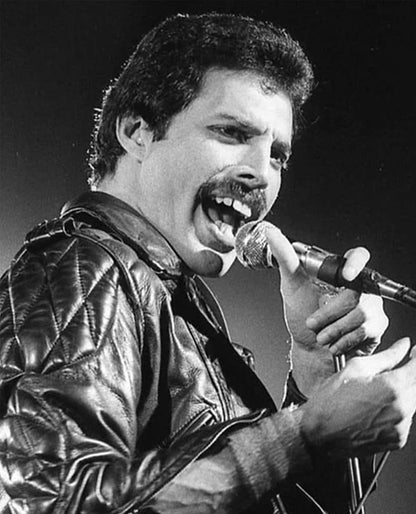 Freddie Mercury Black Leather Jacket